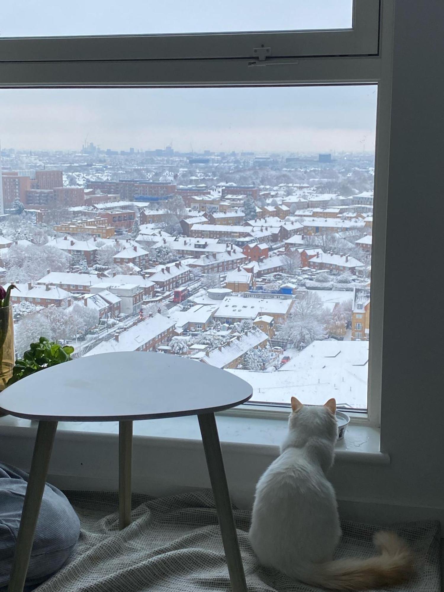 Apartament Cozy Flat With Stunning Views Londyn Zewnętrze zdjęcie