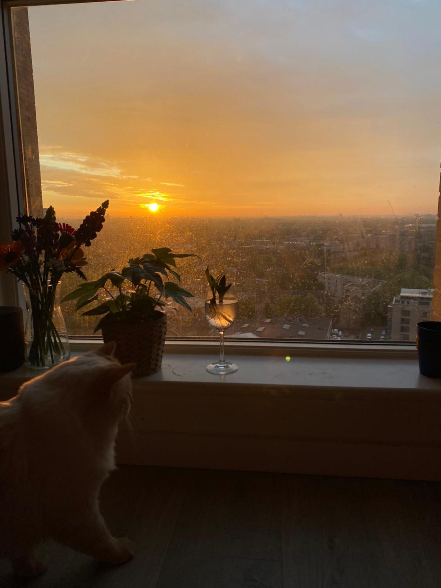 Apartament Cozy Flat With Stunning Views Londyn Zewnętrze zdjęcie